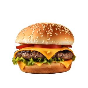 Special Burger