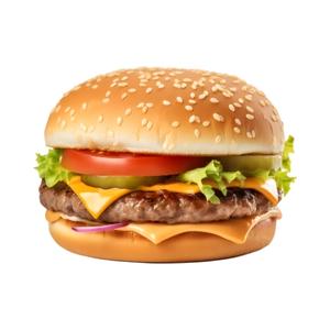 Kids Burger